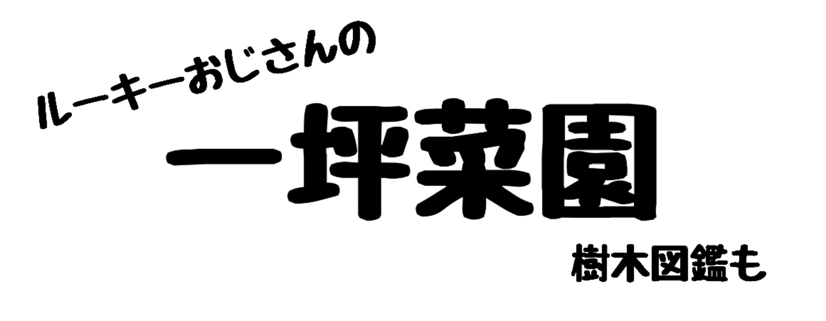 ルーキーおじさんの一坪菜園